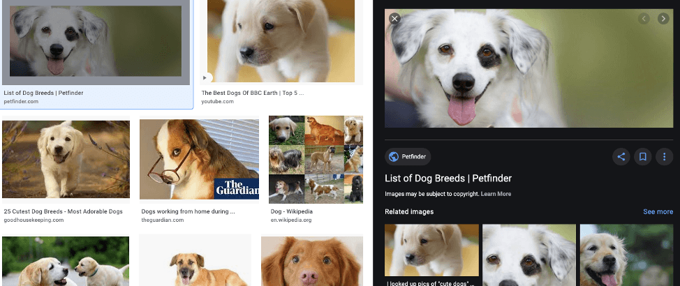 Google Image searches show the website the image is from