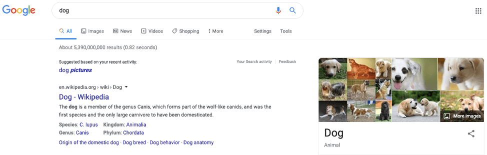 An image search for "dog" yields image results too
