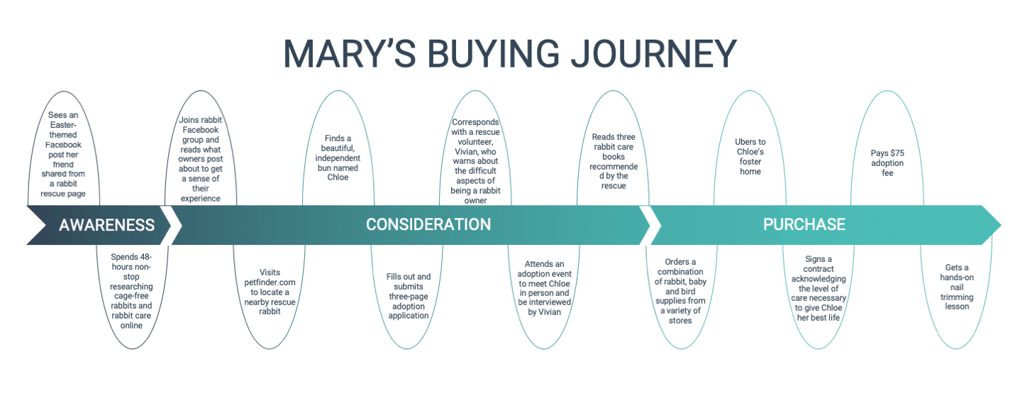 Mary's buying journey map that shows 16 stages in her buyers journey with a lot of education