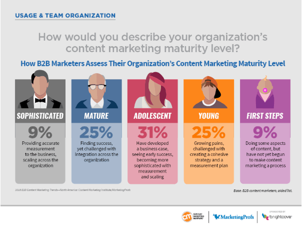 How would you describe your organization's content marketing maturity level?